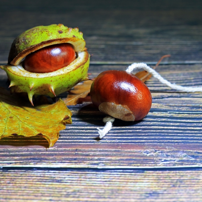 Conker Player Tea Cosy