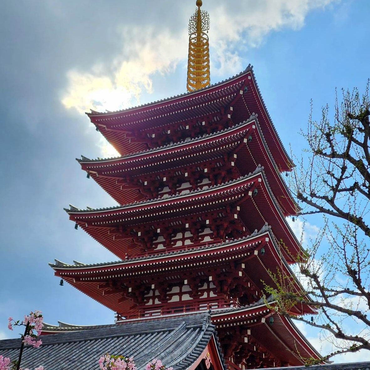 Japanese Pagoda Tea Cosy