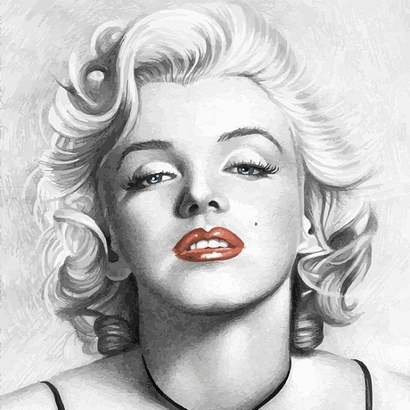 Marilyn Monroe Tea Cosy